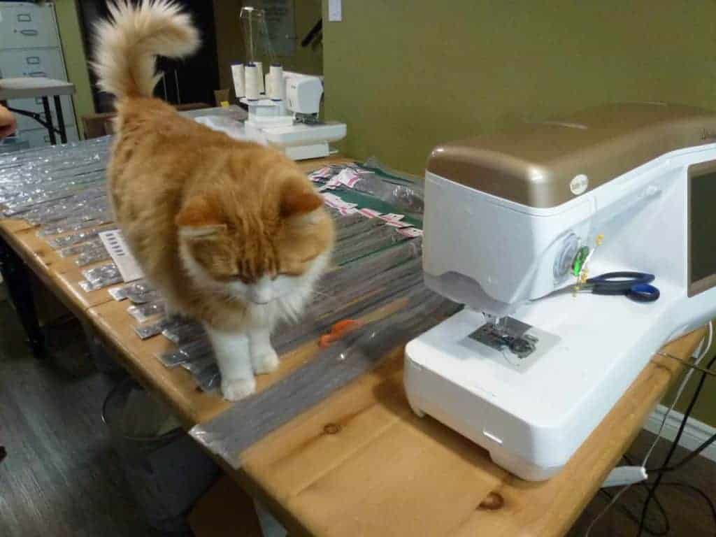 Image result for cat helping make a quilt
