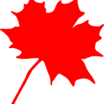 maple-leaf-md