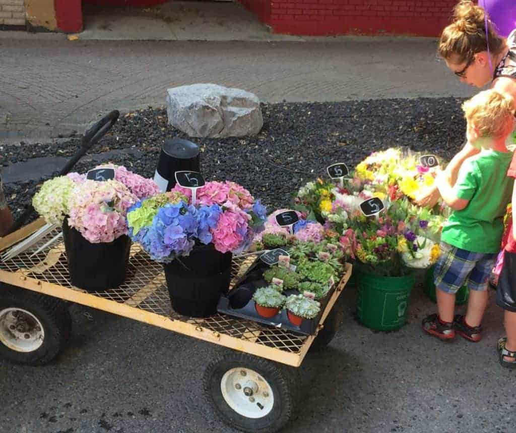 Come For a Bag Sewing Class and Enjoy the Farmer's Market Too