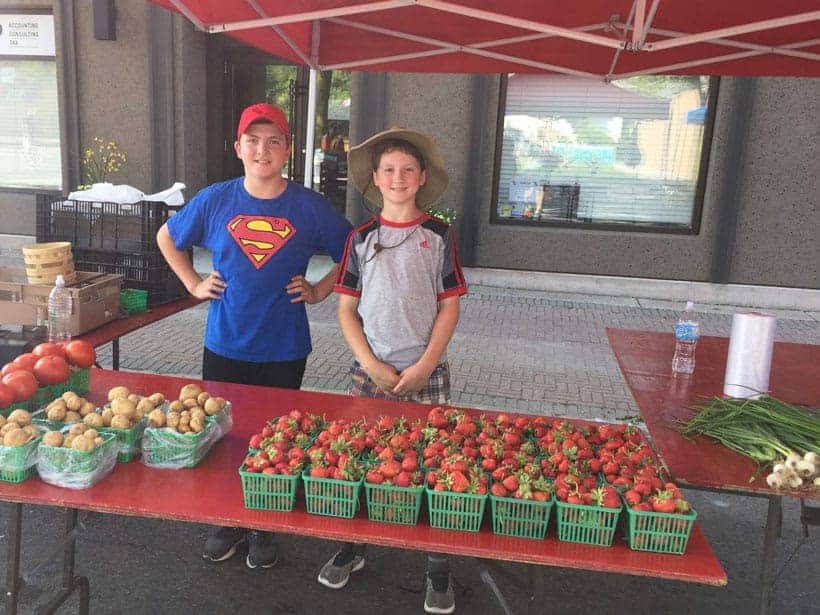 Boys selling strawberries